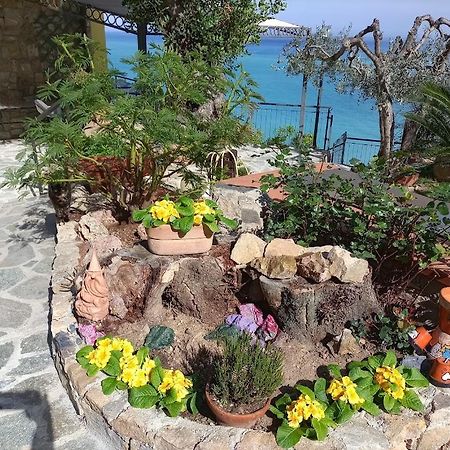 B&B Nido Sul Mare Alassio Exteriör bild
