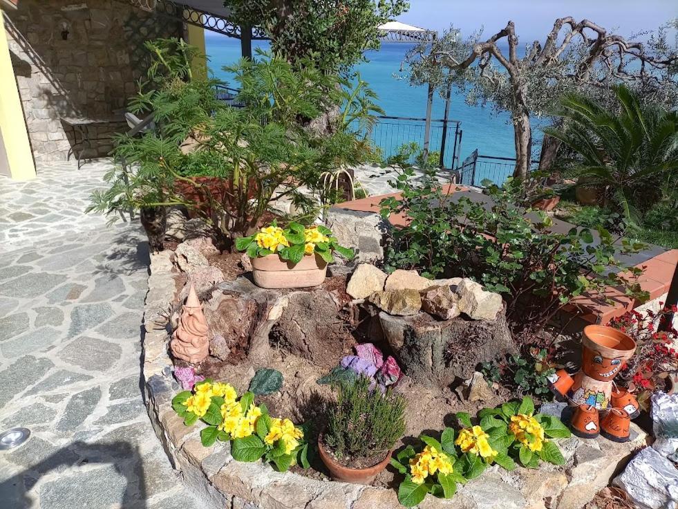 B&B Nido Sul Mare Alassio Exteriör bild